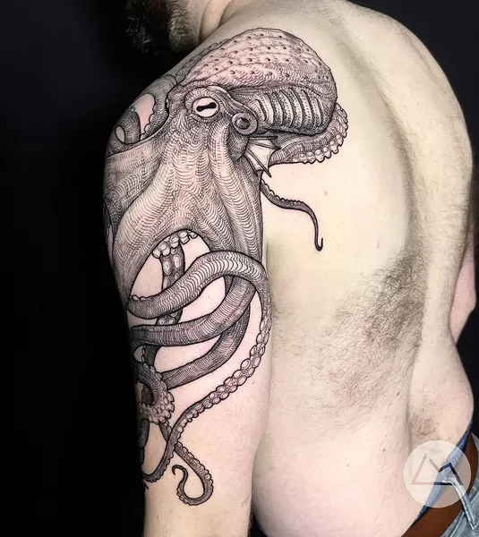 Animal, Dragon