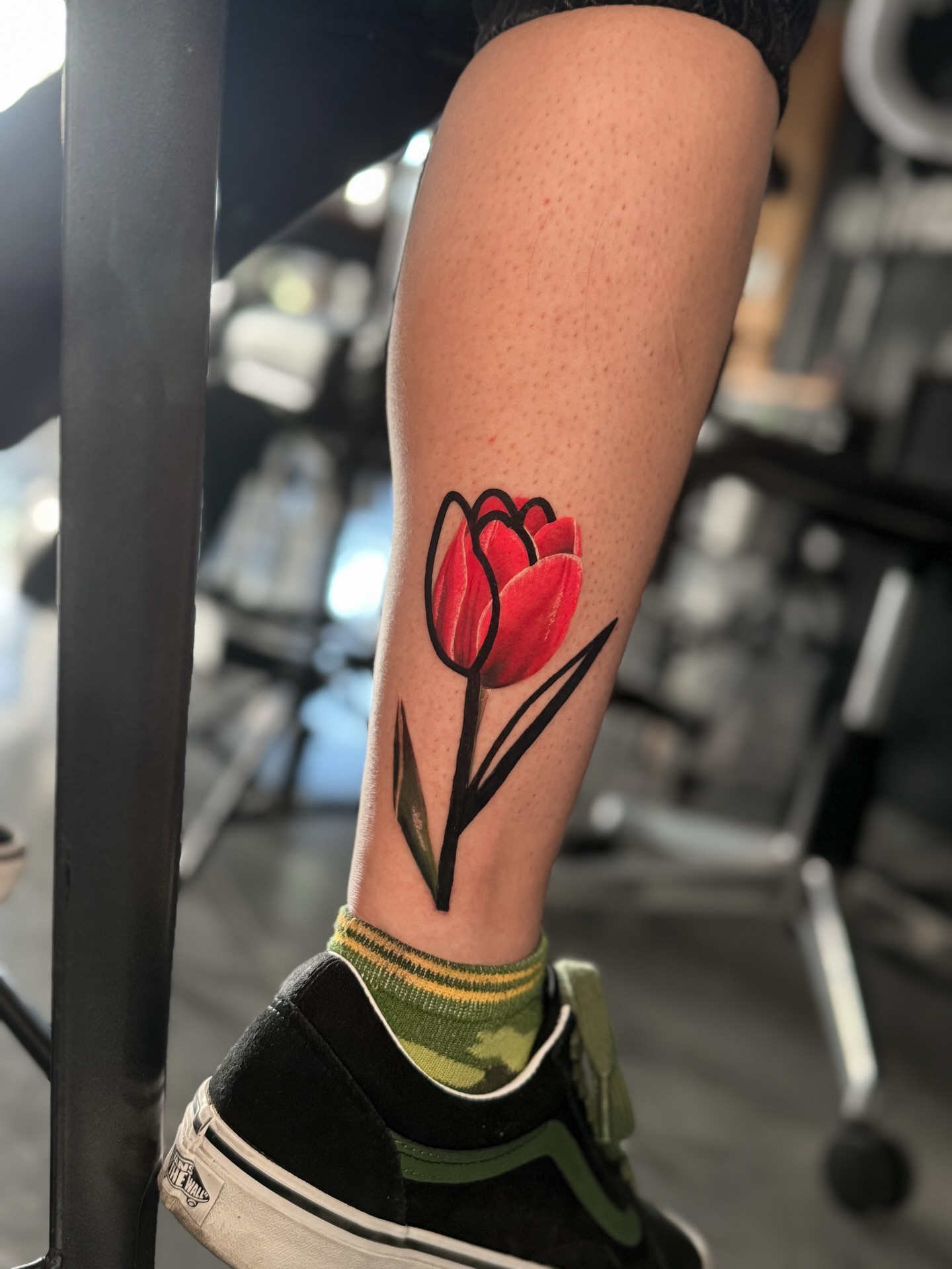 Flower, 튤립
