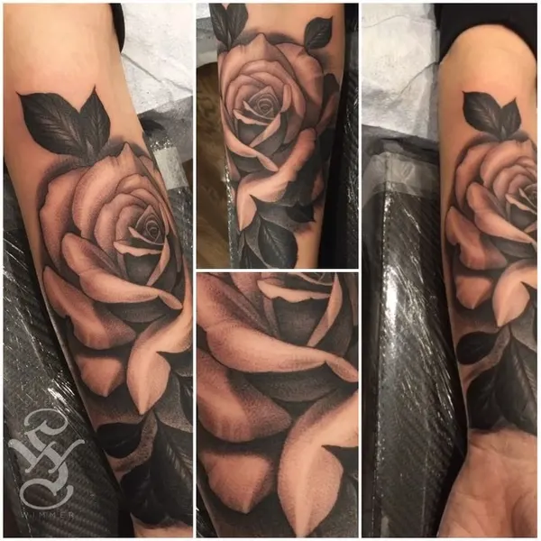Flower, Rose