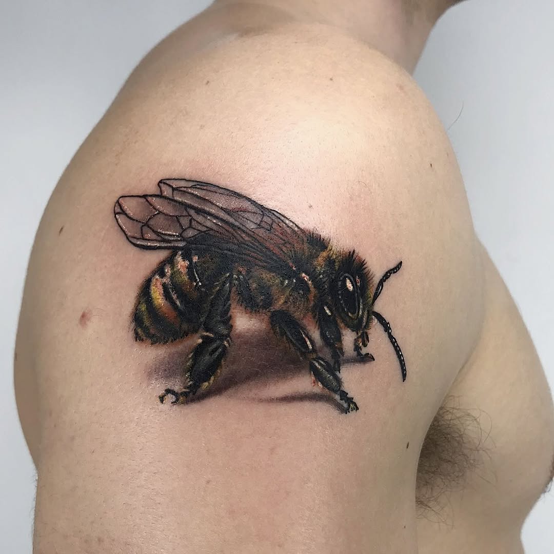 Animal