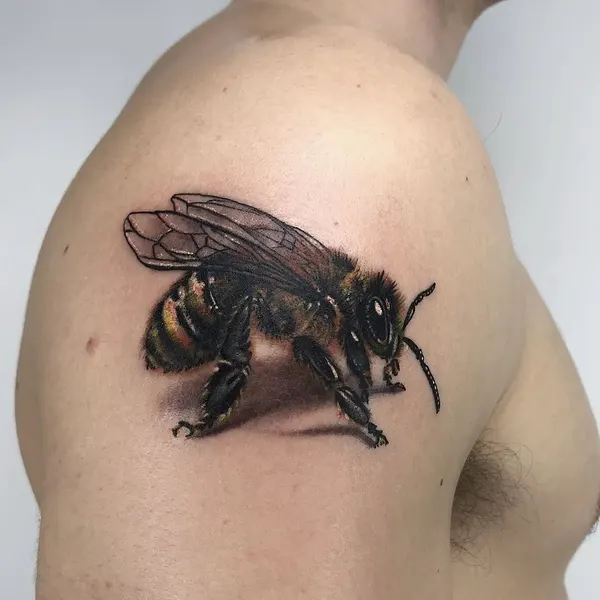 Animal