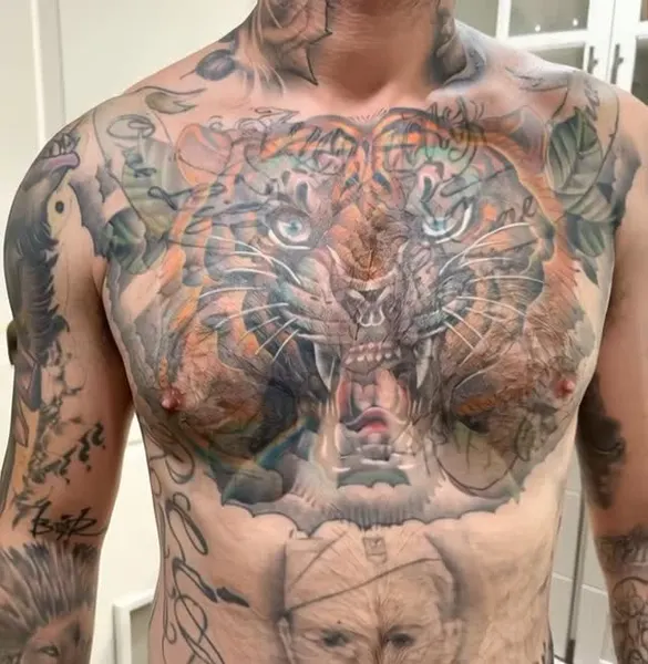 Tiger