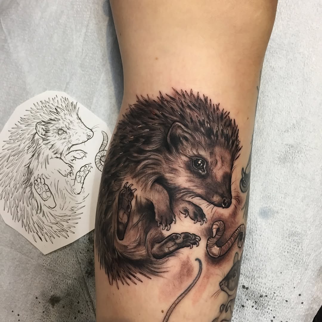 shawn_hebrank