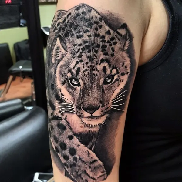 Animal