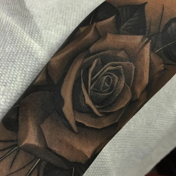 Flower, Rose