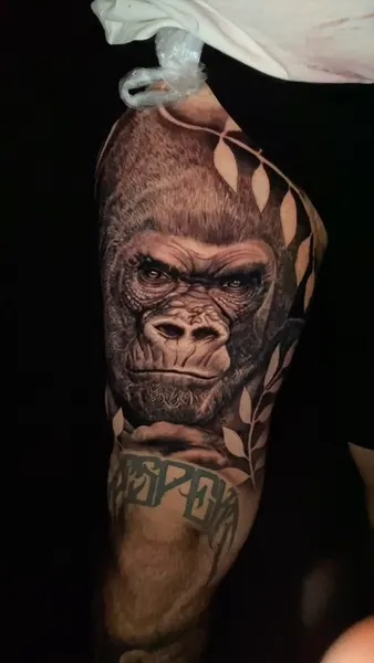 Animal, Tiger