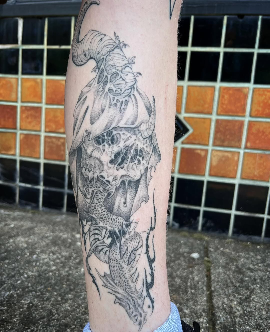 Dragon