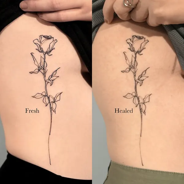 Flower, Rose