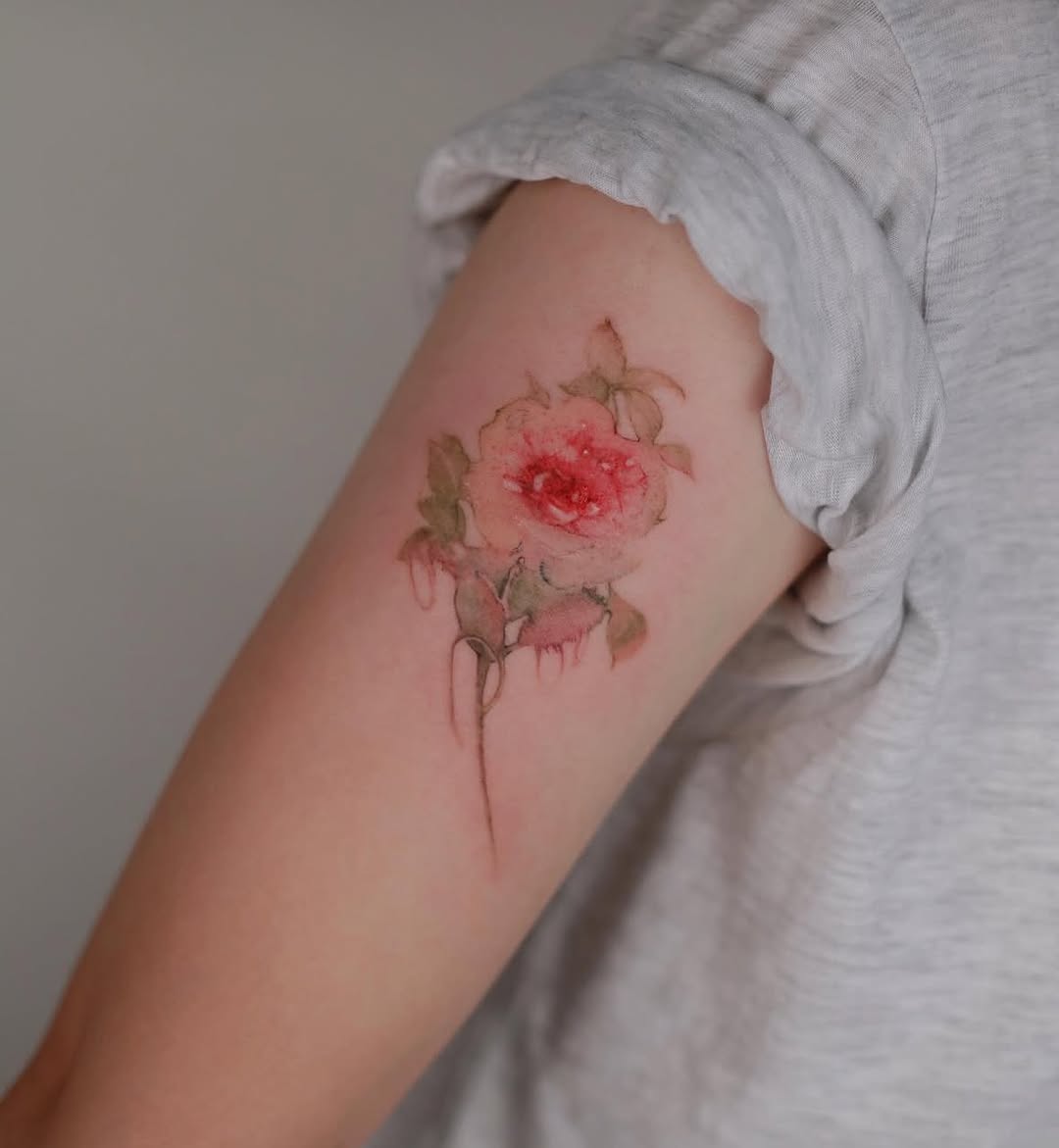 Flower, Rose