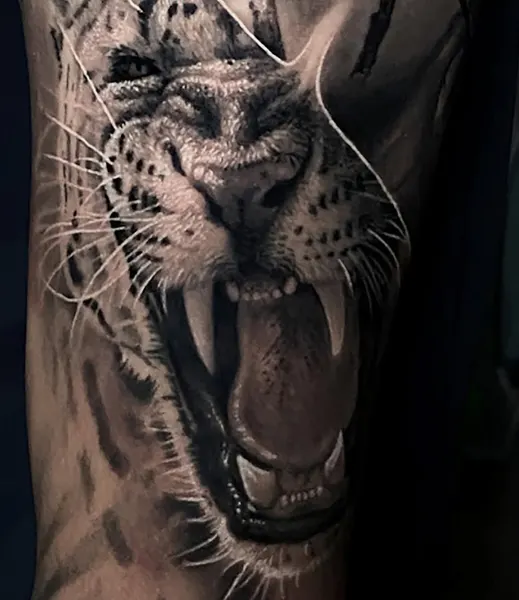 Tiger, Animal