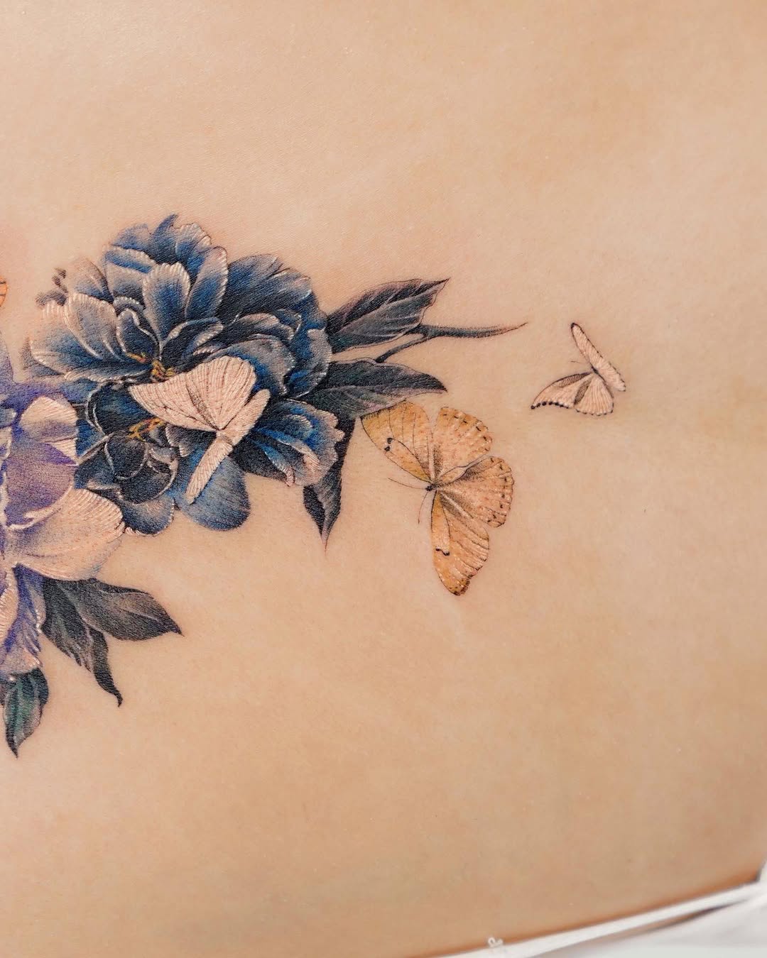 Flower, Nature, Rose