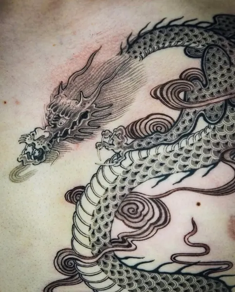 Dragon