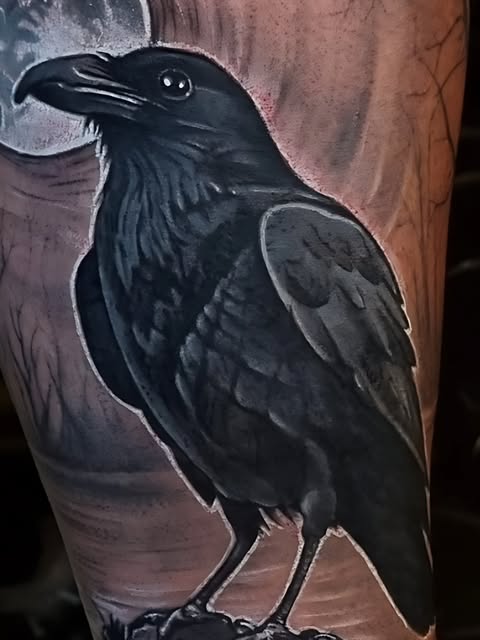 Animal