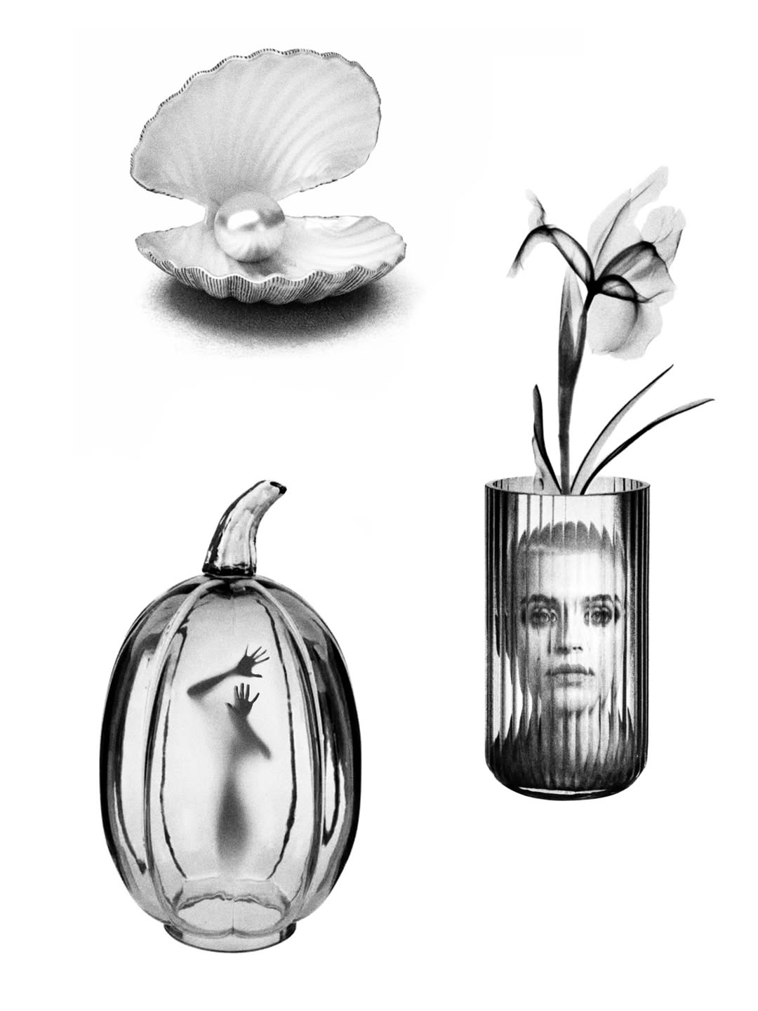 plantsnpokes