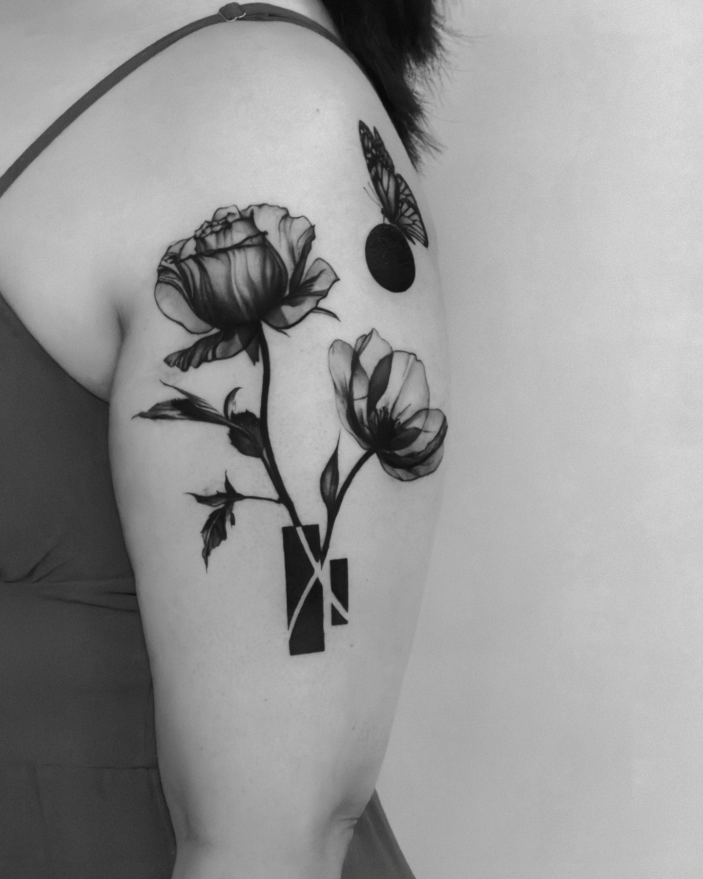 Flower, Rose, Nature