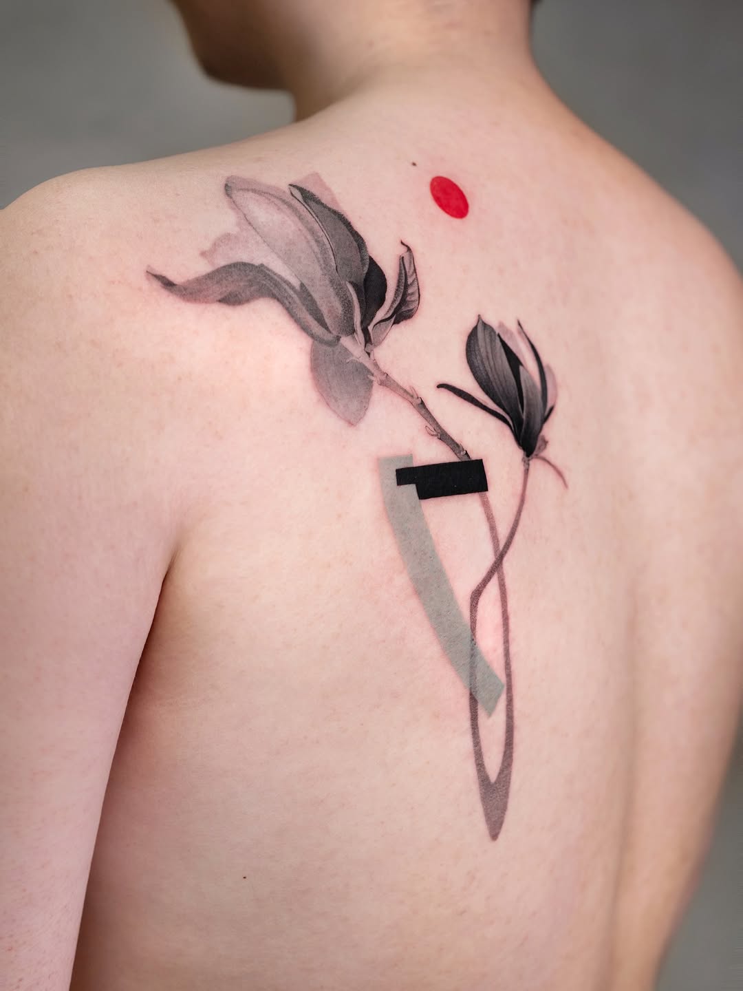 Flower, Rose, Nature