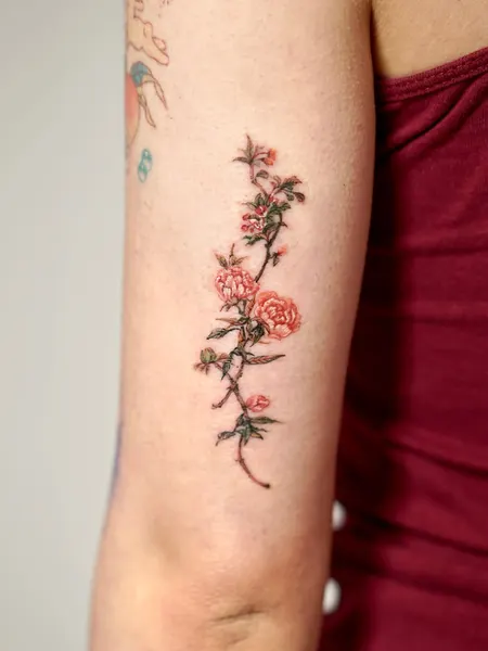 Flower, Rose, Nature