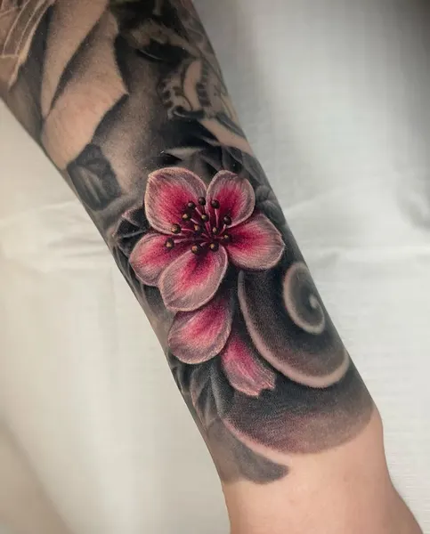 Flower, Rose