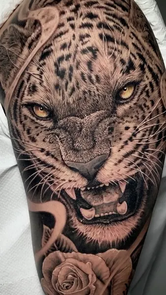 Animal, 표범, 재규어
