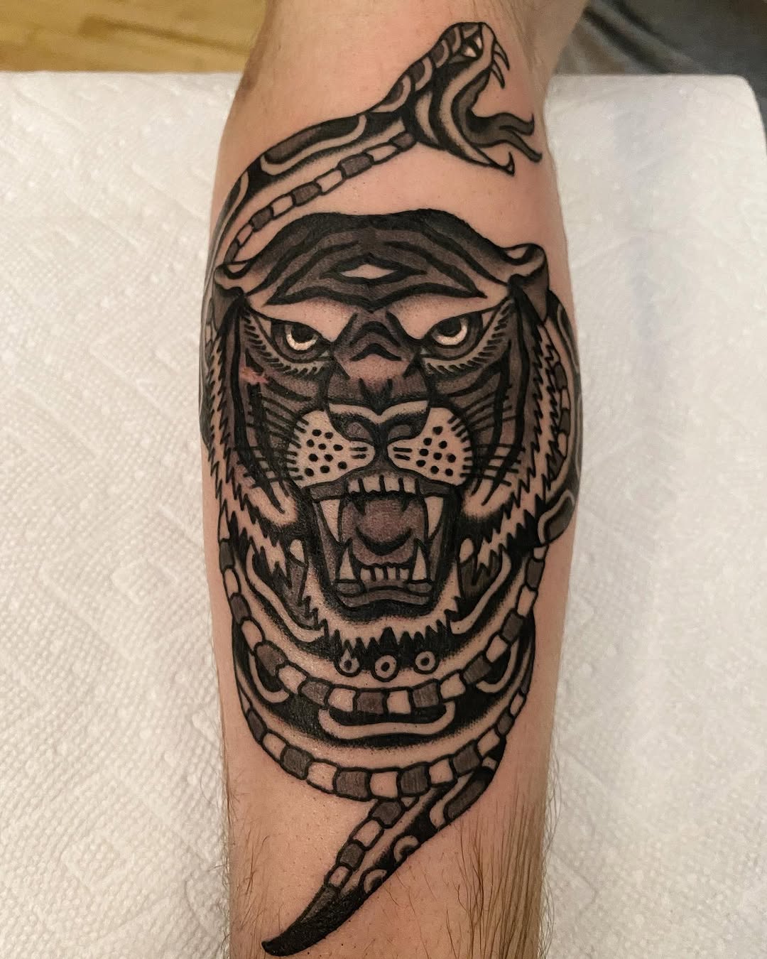 Tiger