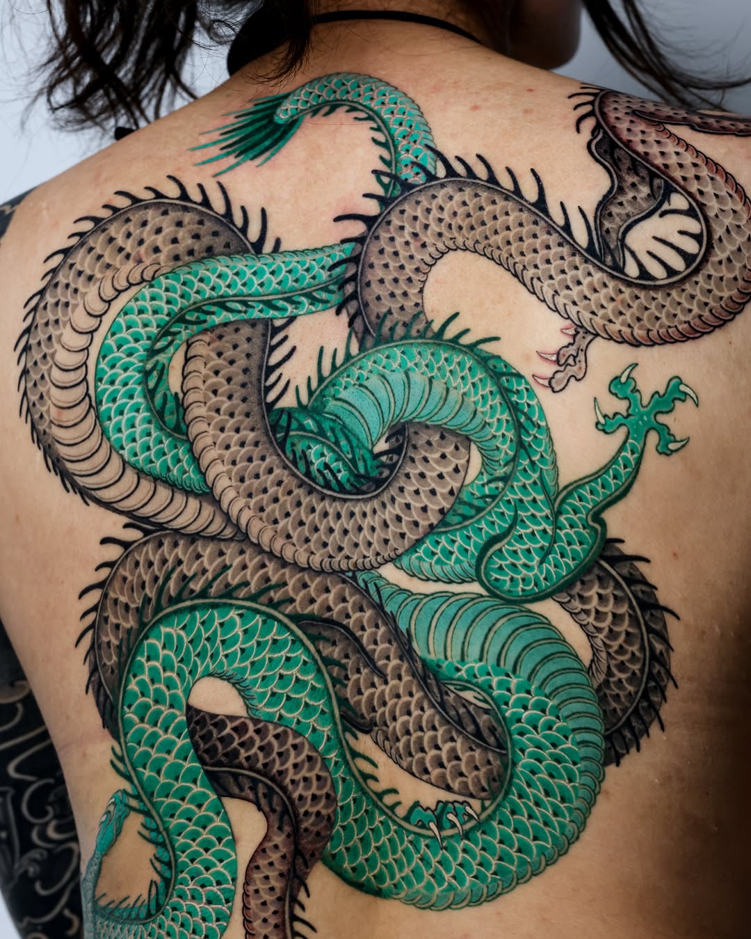 Dragon