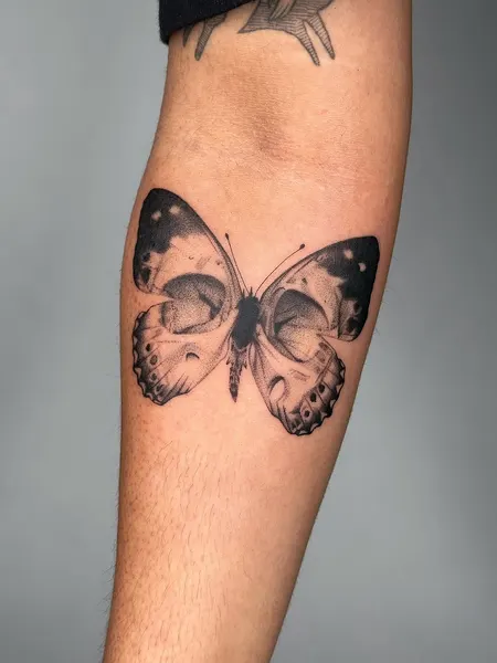 Animal, Nature