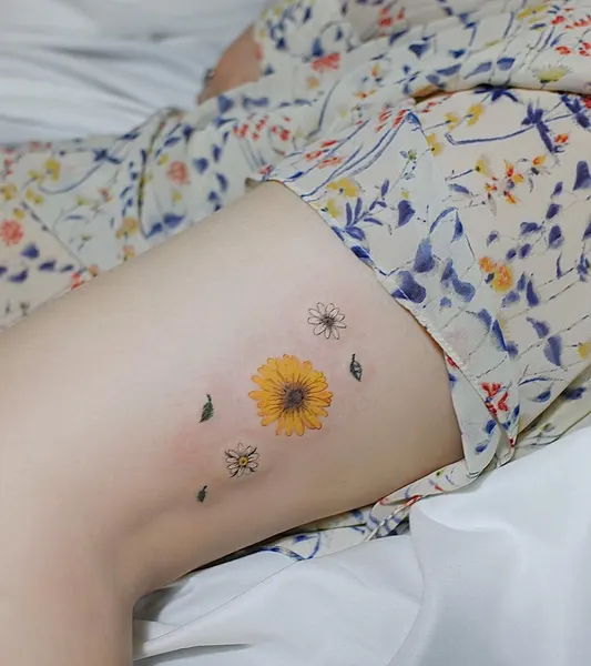 데이지, 해바라기, 민들레