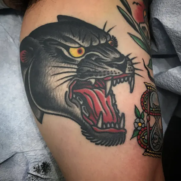 Animal, Tiger