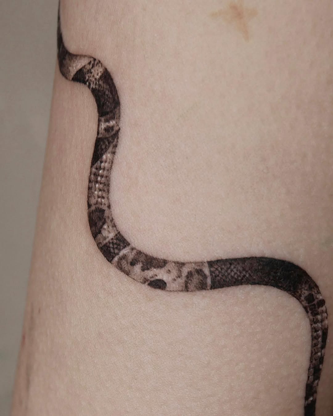 40.tatt