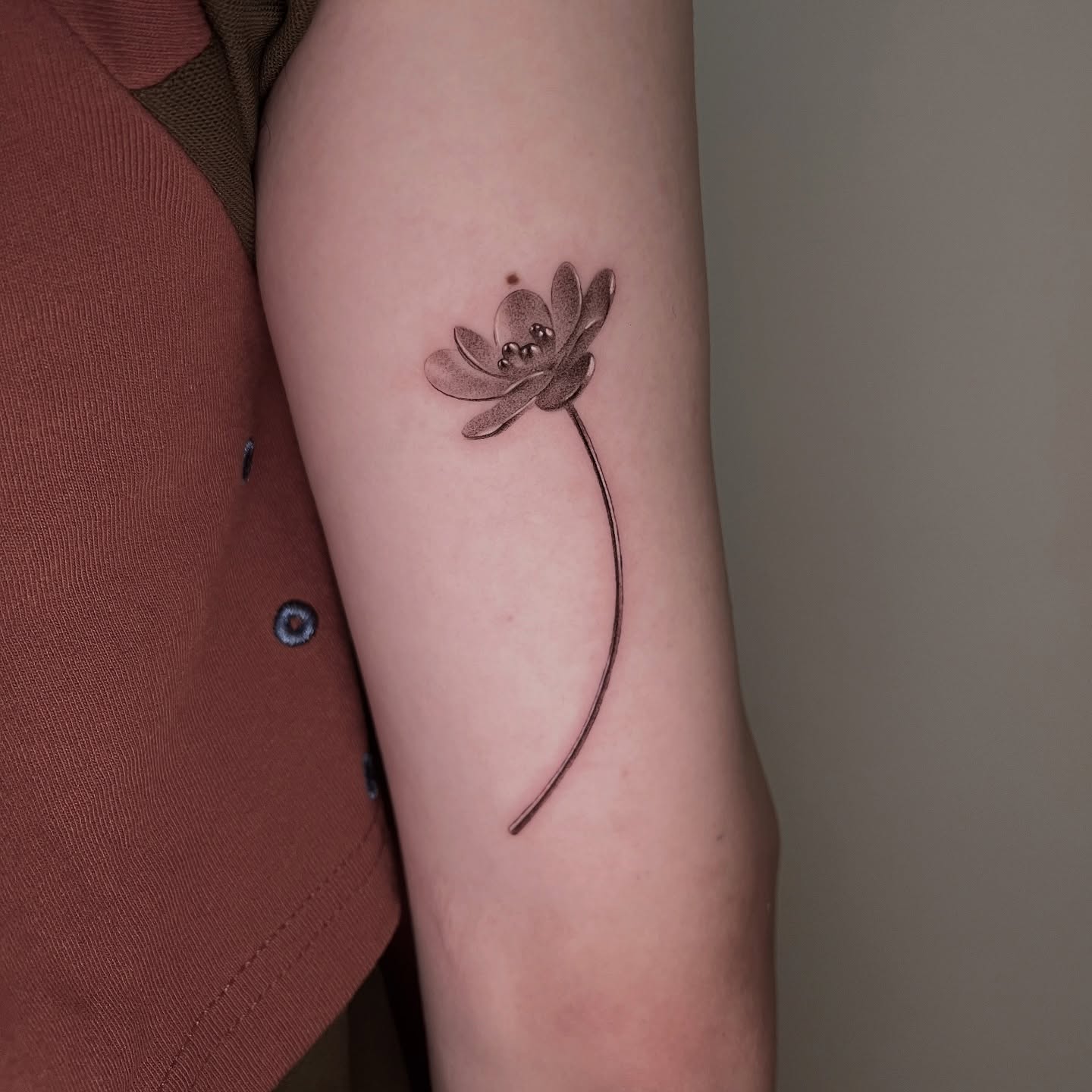Flower, Rose