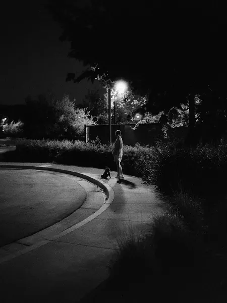 mistertroshin