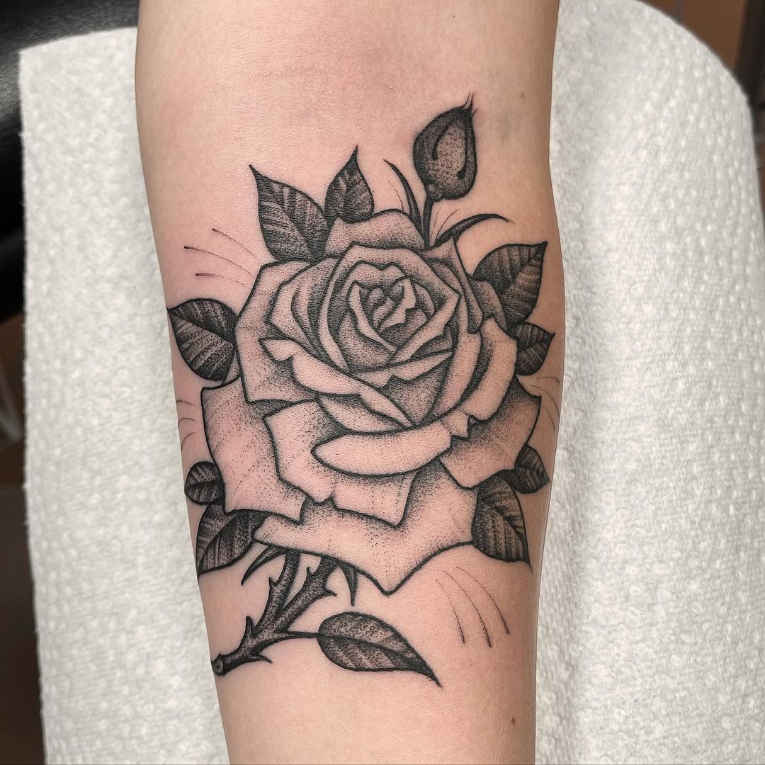 Flower, Rose