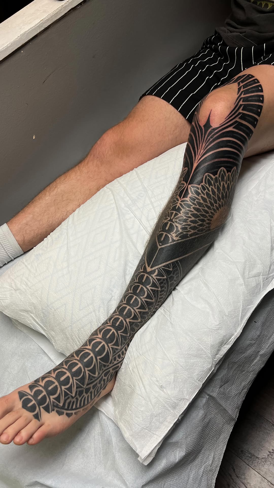 Dragon, Animal