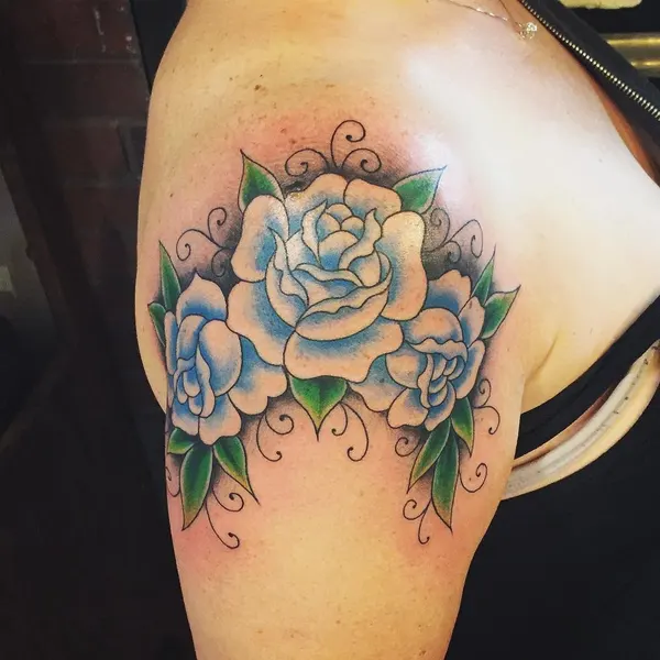 Flower, Rose, Nature