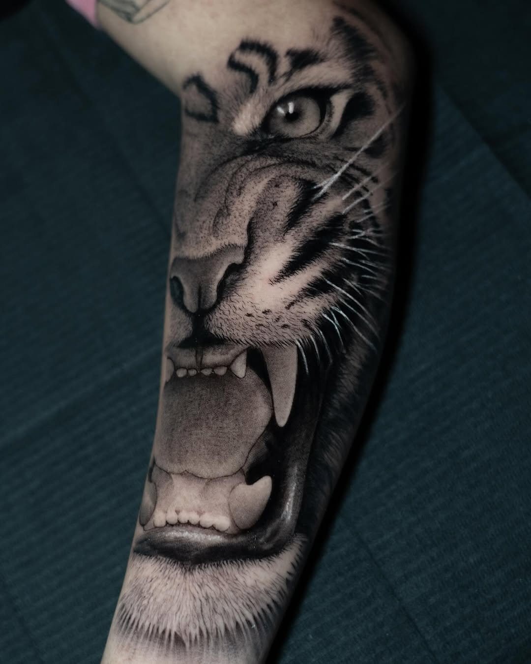 Tiger