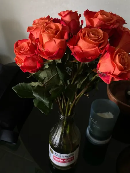 Flower, Rose, Nature