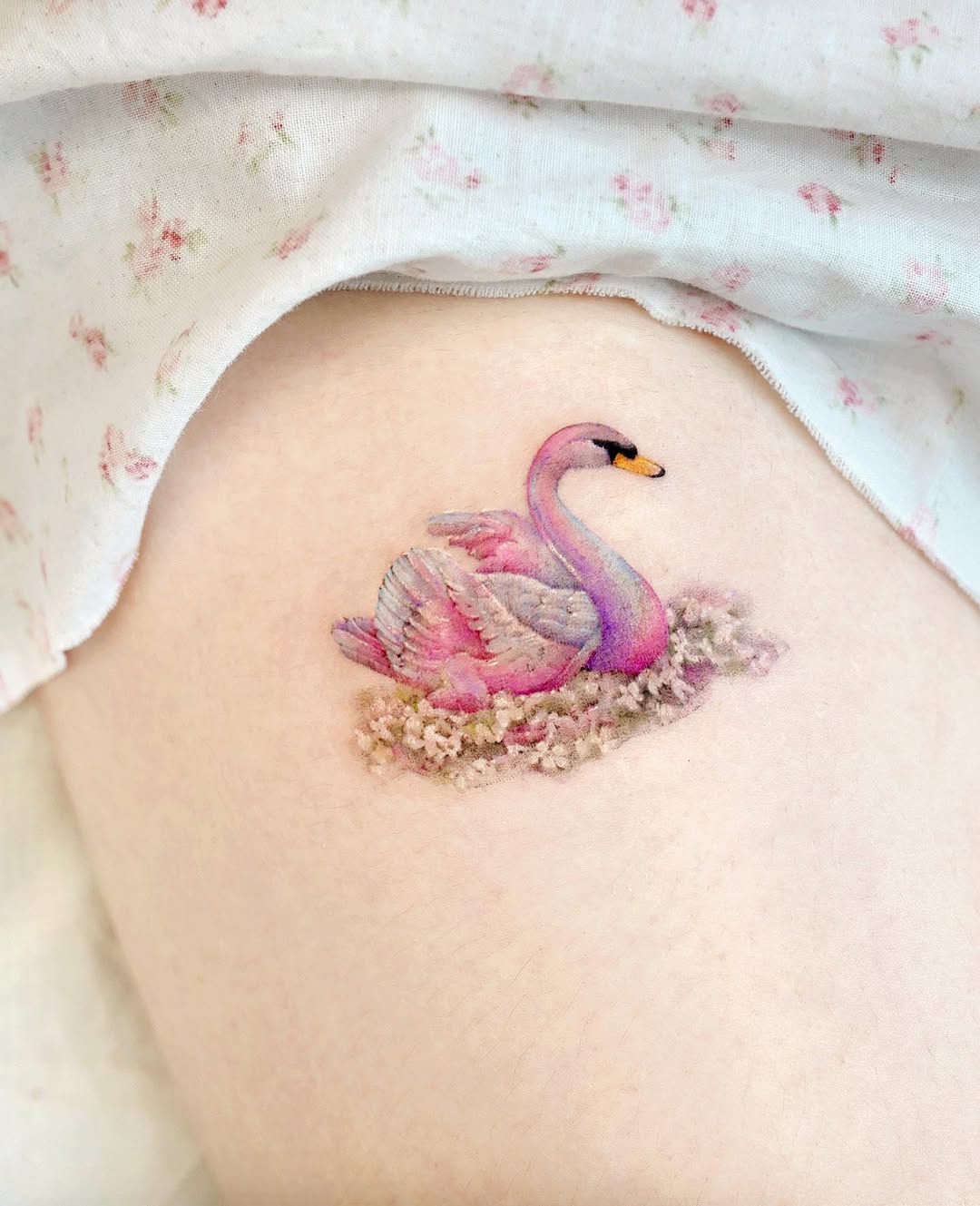 Animal, Flower