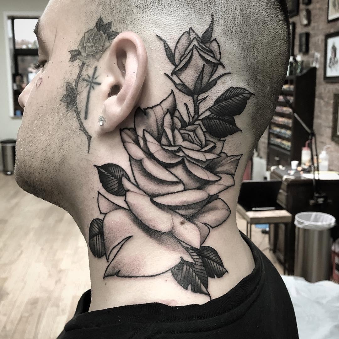 Rose, Nature, Flower