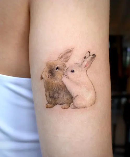 Animal, 토끼