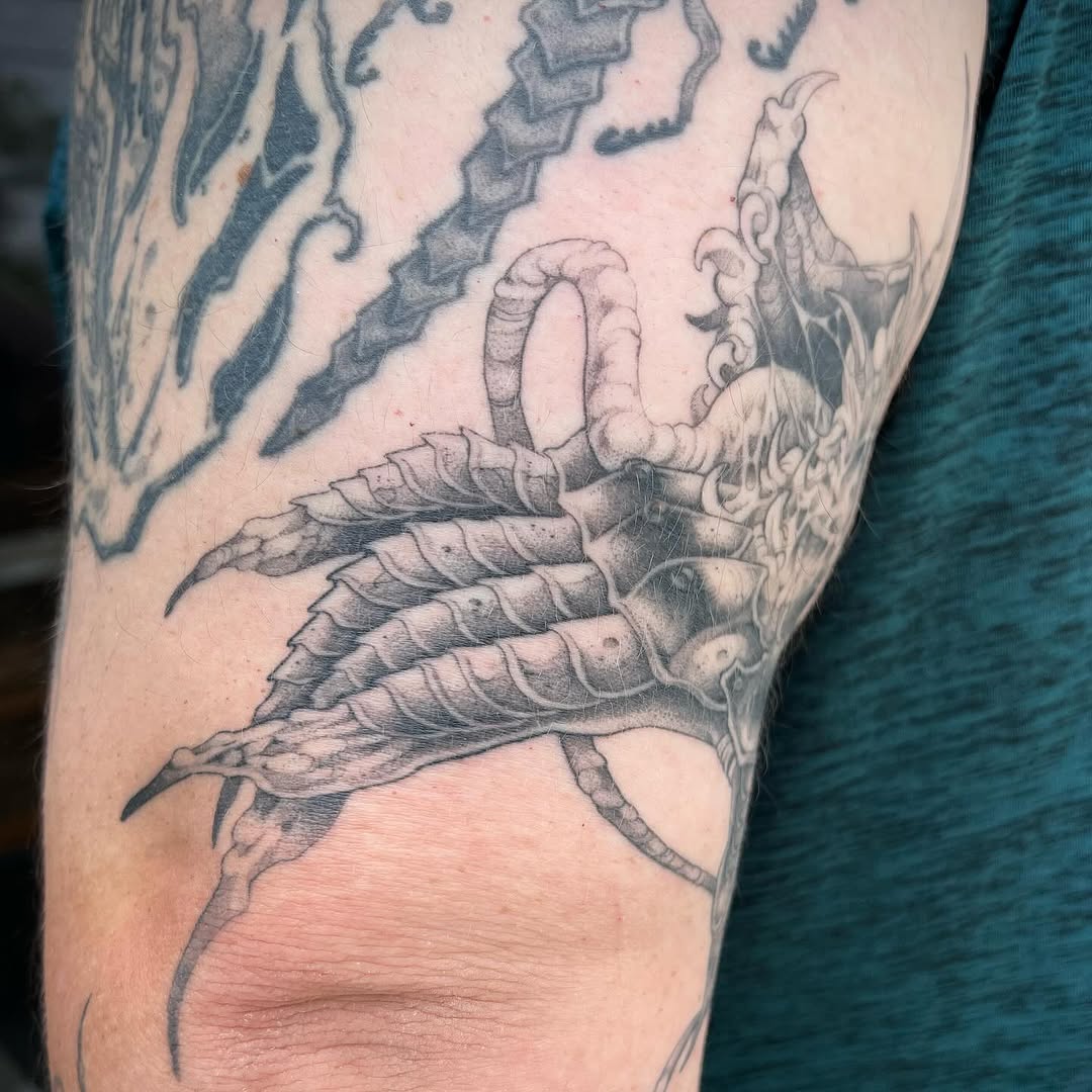 Animal, Dragon