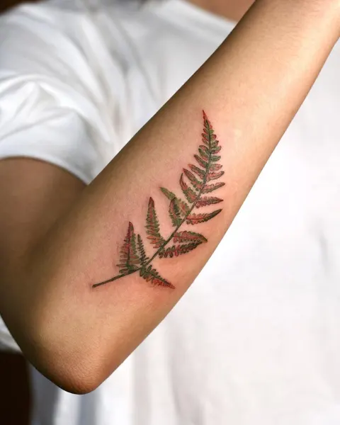 Flower, 고사리