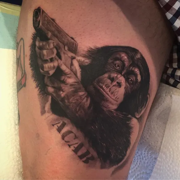 Animal, Tiger, 원숭이