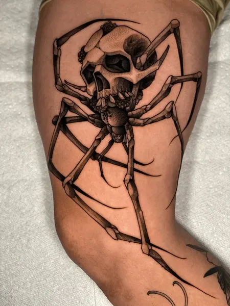 Animal