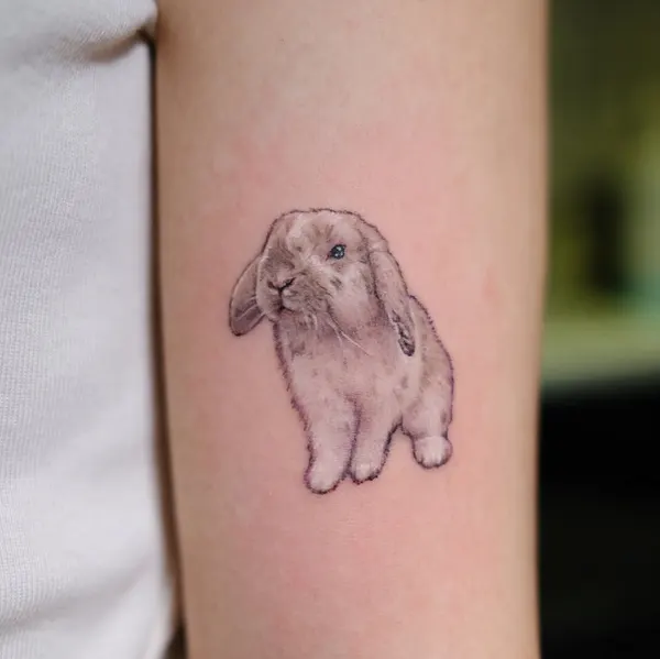 Animal