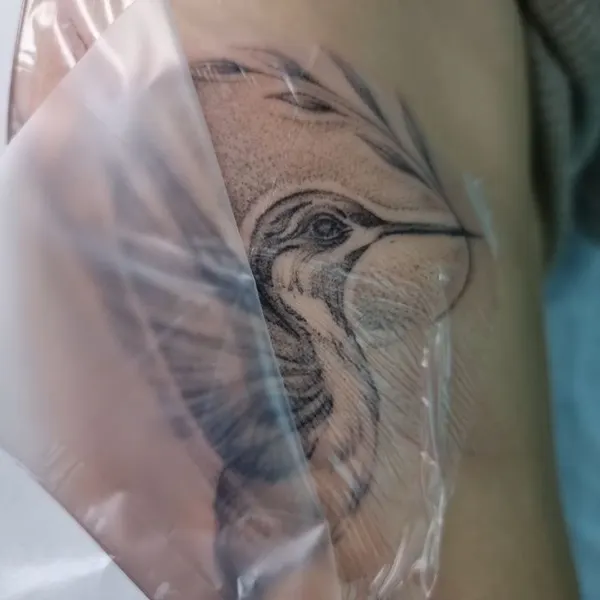 벌새