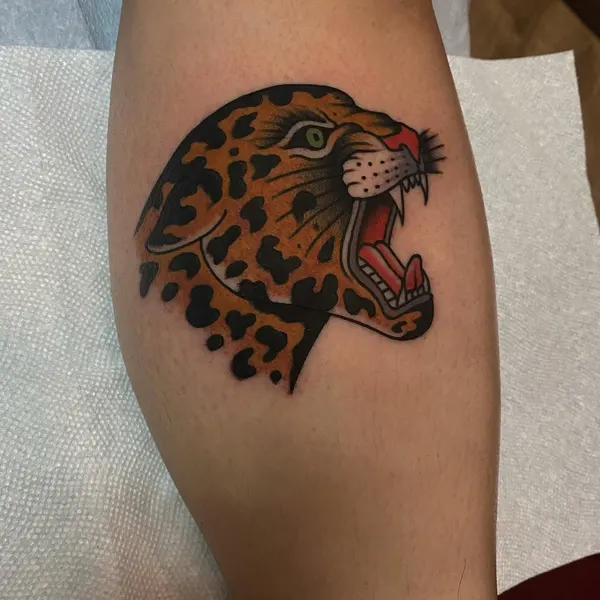 Tiger, Animal