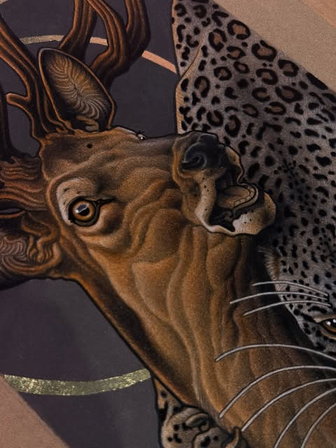 Animal, 표범, 재규어