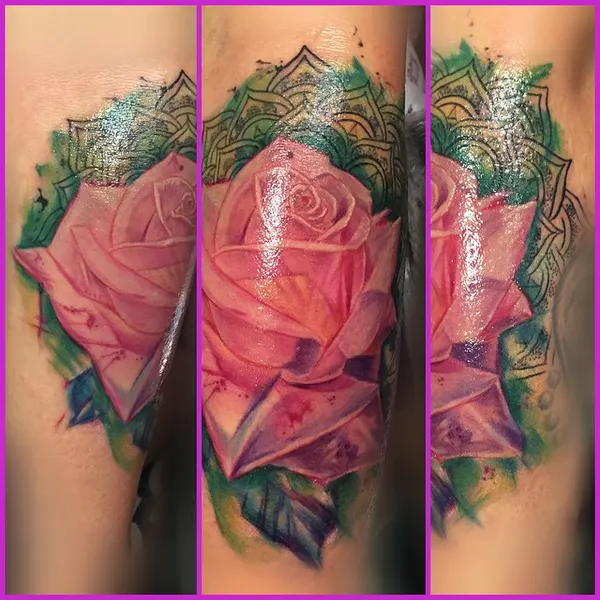 Flower, Rose