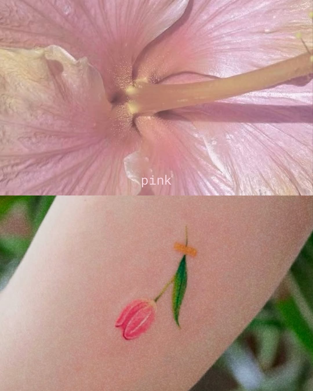 ovenlee.tattoo