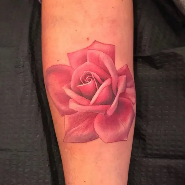 Flower, Rose